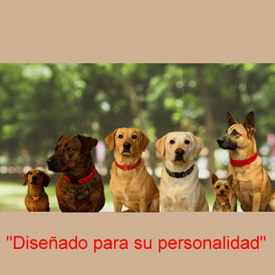 Collares Paracord para perro