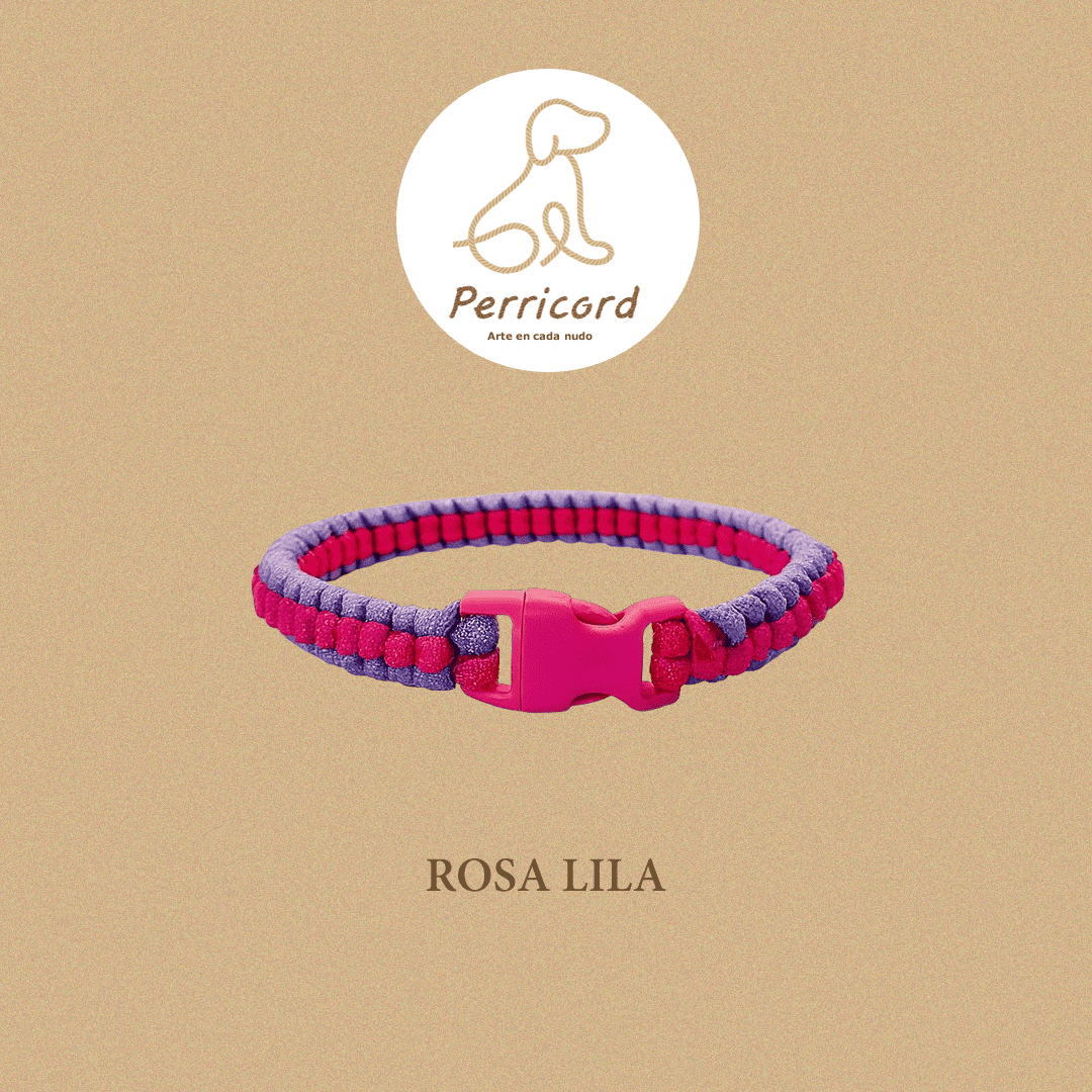 Collares Paracord para perro