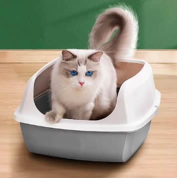 Arenero para gatos